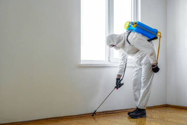 Professional Pest control in Bloomington, TX